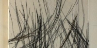 Eugenia Daniela Pistol / The Search