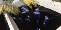 Batik con Eleonora Orso